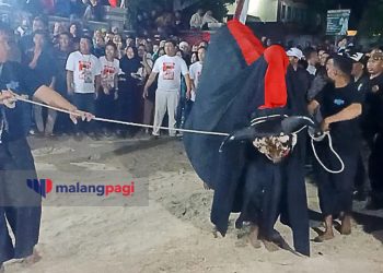 Pengukuhan Kampung Ganjar-Mahfud Dimeriahkan Parade Bantengan
