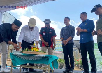 Lestarikan Alam, UIN Maulana Malik Ibrahim Gandeng DLH Kota Batu Bangun Kebun Bibit Mandiri
