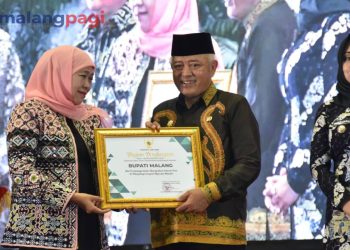 Bupati Malang Raih Penghargaan Prestasi Wujudkan Desa Maju dan Mandiri