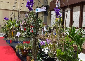 Batu Shining Orchid Week 2023, Perkuat Imaji Kota Batu Sebagai Kota Bunga