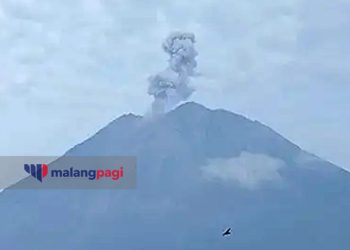 Gunung Semeru Erupsi Lagi. Masyarakat Diminta Hindari Tepi Sungai di Sepanjang Besuk Kobokan
