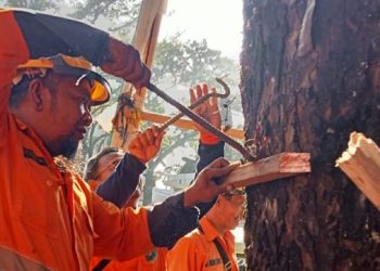 Peringati HPSN, DLH Kota Malang dan Kader Lingkungan Gelar Aksi Cabut Paku di Pohon