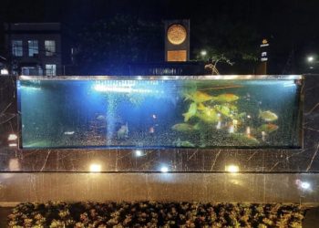 Banyak Ikan Mati, Akuarium Megatank DLH Kota Malang Dijaili Oknum