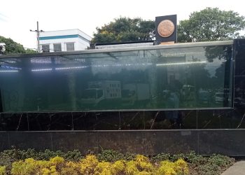 Pakar Perikanan : Ikan Lele Cenderung Karnivora dan Kanibal