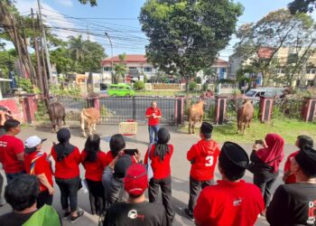 DPC PDI Perjuangan Kota Malang Jadikan Idul Adha Sebagai Momen Gotong Royong