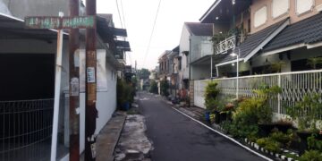 Diduga Kena Racun, Belasan Kucing di Sawojajar Kota Malang Mati