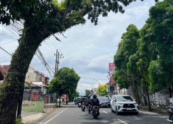 BPBD Kota Malang Mulai Siaga Hadapi Angin Kencang Ekstrem