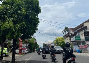 DLH Kota Malang Petakan 15 Titik Wilayah Rawan Pohon Tumbang