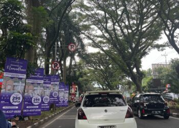 Imbas Proyek Penanggulangan Banjir, Ratusan Pohon di Suhat Kota Malang Bakal Ditebang