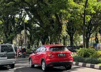 Minimalisir Penebangan Pohon, Wali Kota Malang Pastikan Bulan Depan Proyek Drainase Suhat Digarap