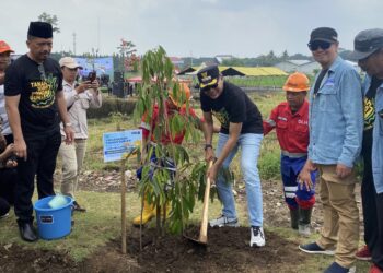 Penanaman 1.000 Pohon Durian di Wonokoyo, Wujud Kota Hijau dan Segar