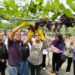 Agro Eduwisata Baru di Kota Malang, Duta Pengangguran Luncurkan Wisata Petik Anggur