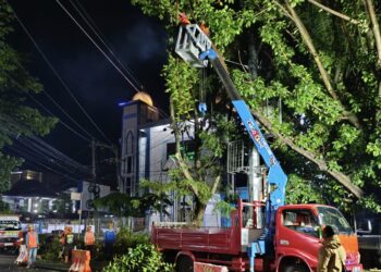 Kayu Hasil Penebangan di Kawasan Suhat Segera Dilelang, Nilainya Capai Rp8 Juta