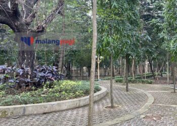 RTH Masih Minim, DLH Kota Malang Bakal Genjot Lewat Penghijauan TPU dan Fasum Perumahan