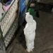 Ramai di Media Sosial, Polisi Pastikan Tak Ada Laporan Pocong Abal-Abal di Malang