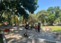 DLH Kota Malang Siap Akomodasi Aspirasi Komunitas untuk Perbaikan Skatepark Alun-alun Merdeka