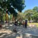 DLH Kota Malang Siap Akomodasi Aspirasi Komunitas untuk Perbaikan Skatepark Alun-alun Merdeka